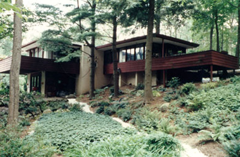 Lanscape 

Design Organic architecture